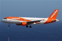 �Alfonso Sol�s - Asociaci�n Canary Islands Spotting. Click to see full size photo