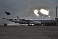 Javier de la Cruz - CANARY ISLANDS SPOTTING. Click to see full size photo