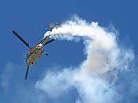 Carlos Moreira  *  PortugalSpotters.org. Click to see full size photo