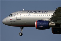 Jos Miguel Bernases - Noisy Spotters. Click to see full size photo