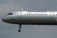 Rodrigo Carvalho - Noisy Spotters. Click to see full size photo