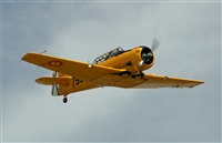 ©Guillermo Gallego. Click to see full size photo ©Guillermo Gallego. Click to see full size photo