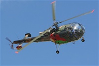 JAbreu                                                              www.portugalspotters.net. Click to see full size photo