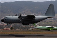 Ayoze Santana Mendez - Canary Islands Spotting. Click to see full size photo