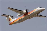 ©José Miguel Bernases - Noisy Spotters. Click to see full size photo ©José Miguel Bernases - Noisy Spotters. Click to see full size photo