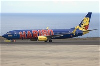 ©Miguel A. Águeda Rguez. (CANARY ISLANDS SPOTTING). Click to see full size photo ©Miguel A. Águeda Rguez. (CANARY ISLANDS SPOTTING). Click to see full size photo