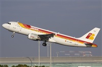 Jos Miguel Bernases - Noisy Spotters. Click to see full size photo