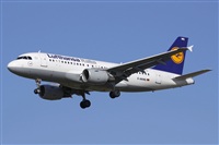 Jos Miguel Bernases - Noisy Spotters. Click to see full size photo