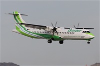 Alfonso Sols - Asociacin Canary Islands Spotting. Click to see full size photo