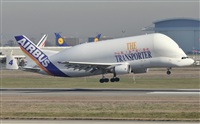 Rubn Gil - Noisy Spotters. Click to see full size photo