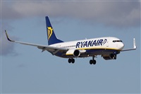 Alfonso Sols - Asociacin Canary Islands Spotting. Click to see full size photo