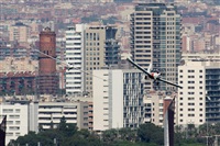 Rodrigo Carvalho - Noisy Spotters. Click to see full size photo