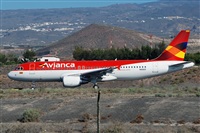 Miguel A. gueda Rguez.  (CANARY ISLANDS SPOTTING). Click to see full size photo