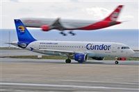 Miguel A. gueda Rguez.  (CANARY ISLANDS SPOTTING). Haz click para ampliar