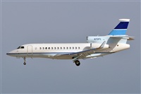 Miguel A. gueda Rguez.  (CANARY ISLANDS SPOTTING). Click to see full size photo