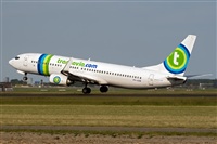 Javier de la Cruz - CANARY ISLANDS SPOTTING. Click to see full size photo