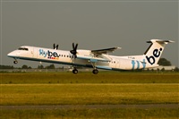 Javier de la Cruz - CANARY ISLANDS SPOTTING. Click to see full size photo