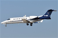 Rubn Gil - Noisy Spotters. Click to see full size photo