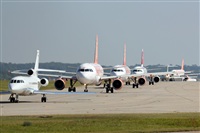 Rodrigo Carvalho - Noisy Spotters. Click to see full size photo