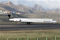 Nacho Rodriguez - Canary Islands Spotting. Click to see full size photo