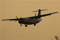 Ayoze Santana Mendez - Canary Islands Spotting. Click to see full size photo