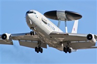 Adolfo Bento - Gran Canaria Spotters. Click to see full size photo