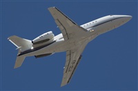 Luciano Fumero( freedom spotter)canary island spotting. Haz click para ampliar