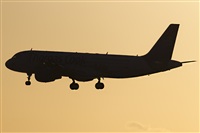 Rui Alves - Madeira Spotters. Click to see full size photo