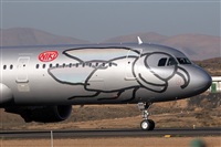 Adrin Alonso Lemes - Lanzarote Spotters. Click to see full size photo
