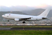 Miguel A. gueda Rguez.  (CANARY ISLANDS SPOTTING). Click to see full size photo