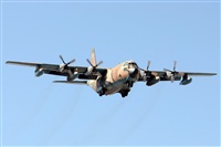 Paco Muoz Arencibia - Gran Canaria Spotters. Click to see full size photo