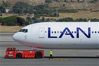 Miguel A. gueda Rguez.  (CANARY ISLANDS SPOTTING). Haz click para ampliar