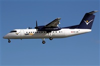 Adrin Alonso Lemes - Lanzarote Spotters. Haz click para ampliar