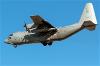 Bartolom Fernndez - Gran Canaria Spotters. Click to see full size photo