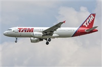 Naoto Goto - South American Spotters Asu-Py. Click to see full size photo