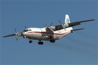 Bartolom Fernndez - Gran Canaria Spotters. Click to see full size photo