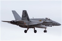 David Manuel Tobarra Ruiz - Spotters Murcia. Click to see full size photo