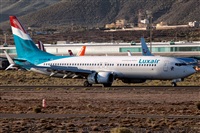 Javier de la Cruz - CANARY ISLANDS SPOTTING. Haz click para ampliar