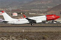 Alfonso Sols - Asociacin Canary Islands Spotting. Click to see full size photo