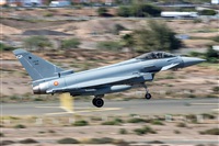 Bartolom Fernndez - Gran Canaria Spotters. Click to see full size photo