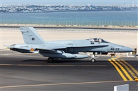 Florencio Martn Melin - Lanzarote Spotters. Haz click para ampliar