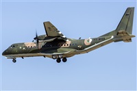 JFMAYORAL - Arispotters.Org / Aire.Org. Click to see full size photo
