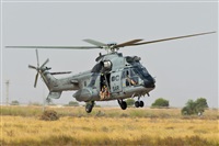 Fco Javier Garca Ruiz. Click to see full size photo