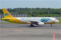 Miguel A. gueda Rguez.  (CANARY ISLANDS SPOTTING). Click to see full size photo