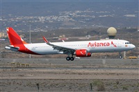 Miguel A. gueda Rguez.  (CANARY ISLANDS SPOTTING). Click to see full size photo
