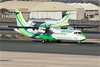 ©Adolfo Bento - Gran Canaria Spotters. Click to see full size photo ©Adolfo Bento - Gran Canaria Spotters. Click to see full size photo