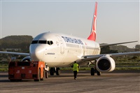 Javier de la Cruz - CANARY ISLANDS SPOTTING. Click to see full size photo