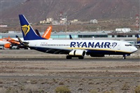 Alfonso Sols - Asociacin Canary Islands Spotting. Haz click para ampliar