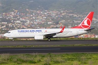 Miguel A. gueda Rguez.  (CANARY ISLANDS SPOTTING). Click to see full size photo
