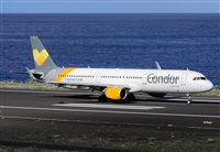 ©Luis Rguez - La Palma Spotting. Click to see full size photo ©Luis Rguez - La Palma Spotting. Click to see full size photo